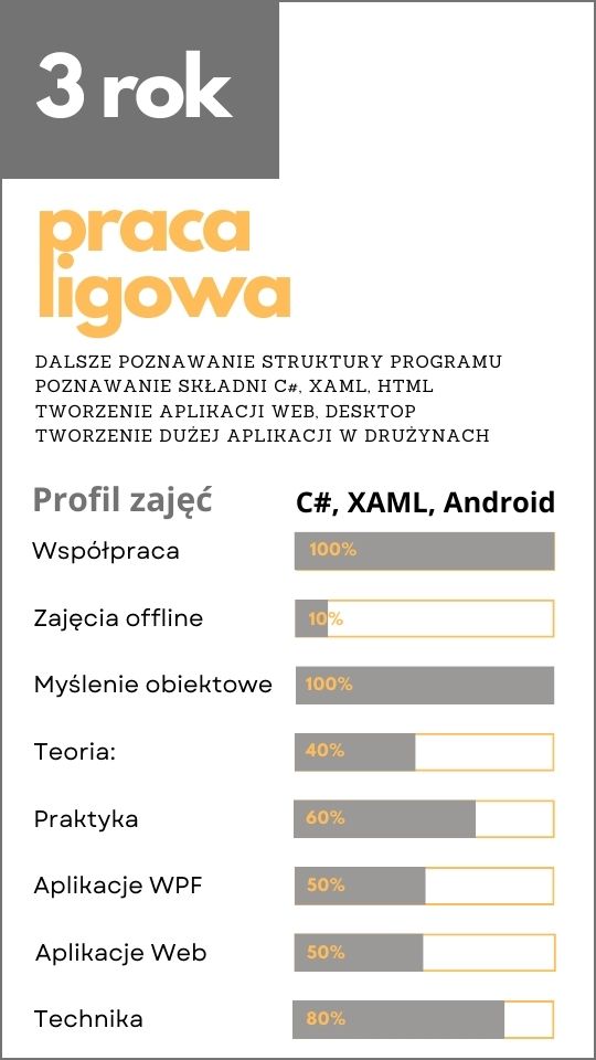 3 rok - praca ligowa. Dalsze poznawanie struktury programu, poznawanie składni C#, XAML, HTML, tworzenie aplikacji web, desktop, tworzenie dużej aplikacji w drużynach