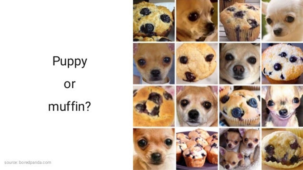 Machine learning with Google machine learning APIs - Puppy or Muffin?